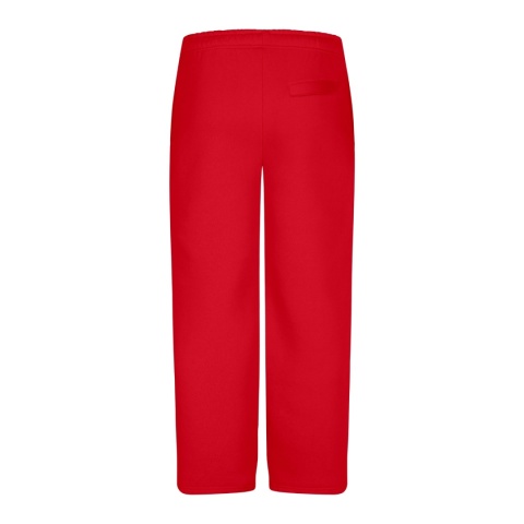 daily sweatpants red back