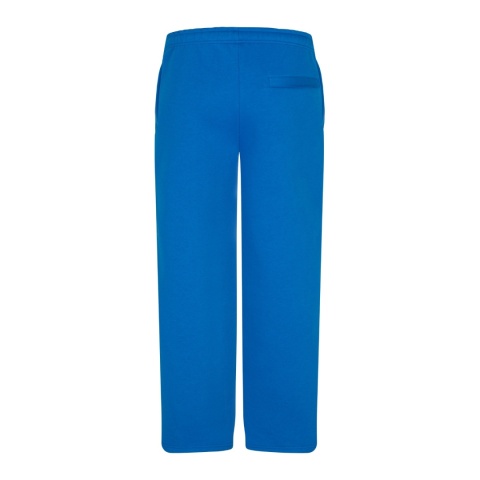 daily sweatpants cobalt back